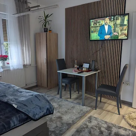 Apartment Dino Z Balkonom Rogatec