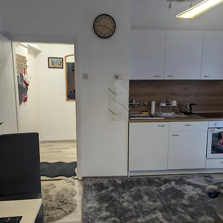 Dino Z Balkonom Apartment Rogatec